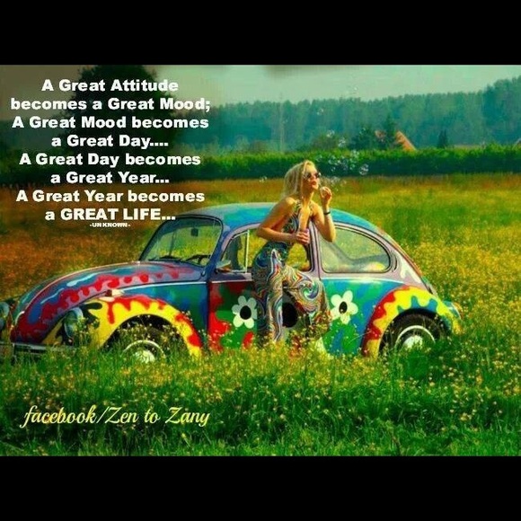 Meet your Posher, Darla - Picture 4 of 7